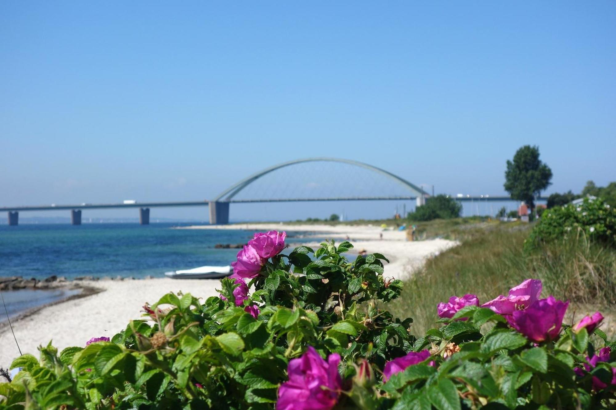 Apartament Mina Fehmarn Zewnętrze zdjęcie