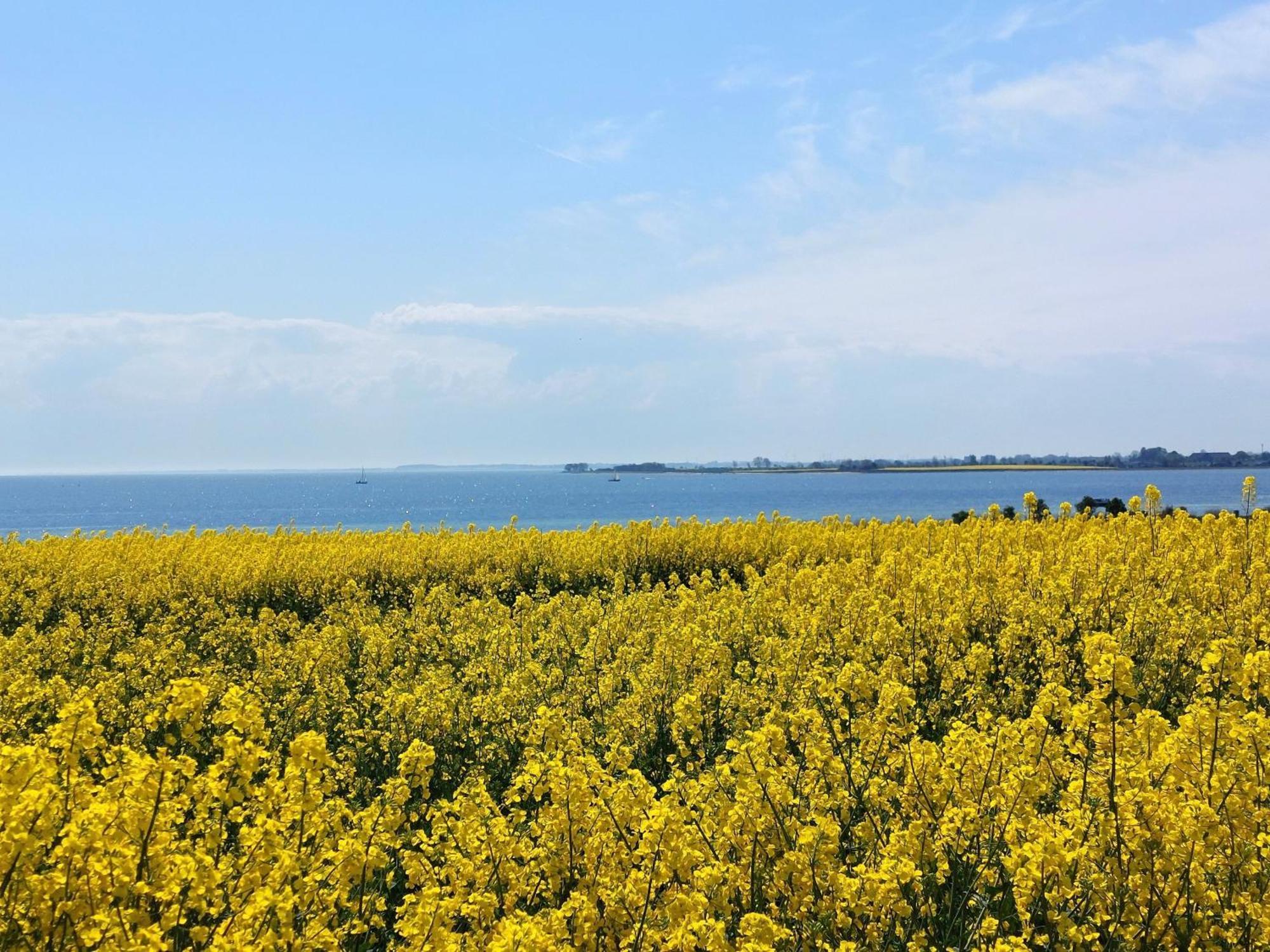 Apartament Mina Fehmarn Zewnętrze zdjęcie